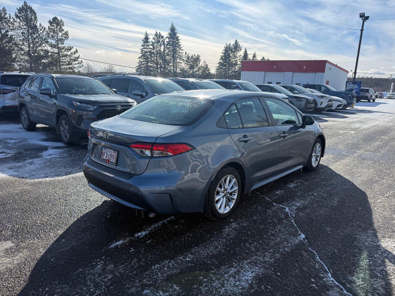 2020 Toyota Corolla  Photo3