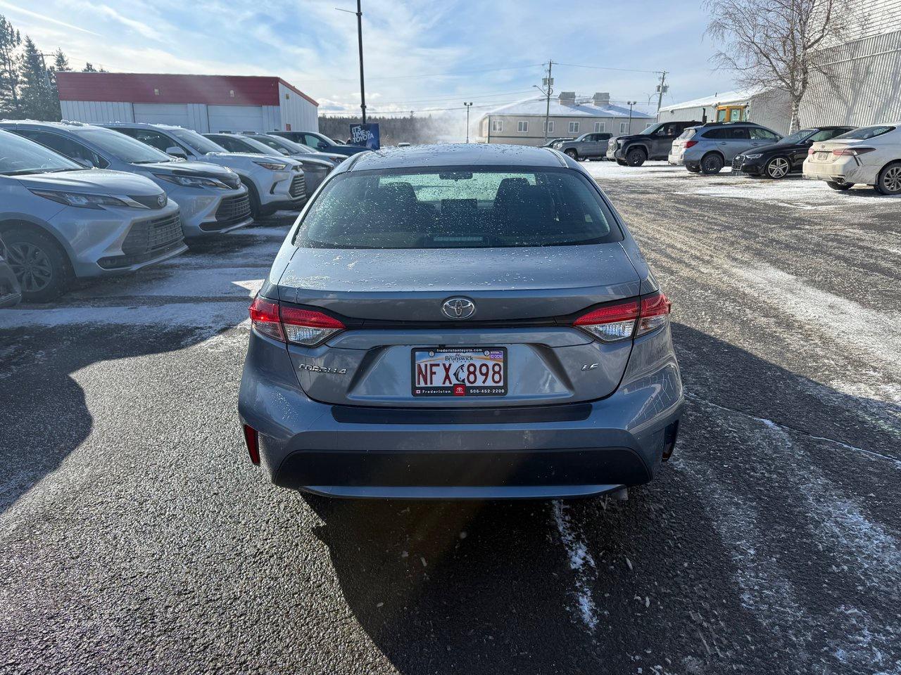 2020 Toyota Corolla  Photo4