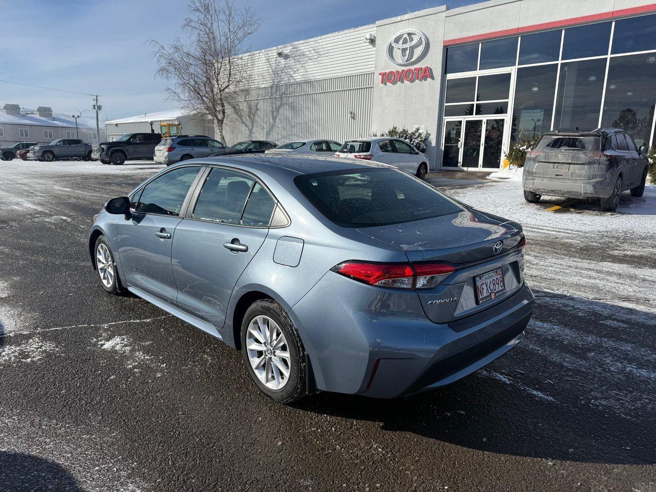 2020 Toyota Corolla  Photo