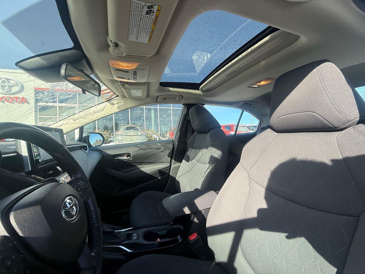 2020 Toyota Corolla  Photo