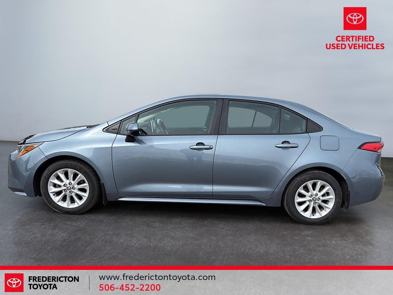 2020 Toyota Corolla LE Photo