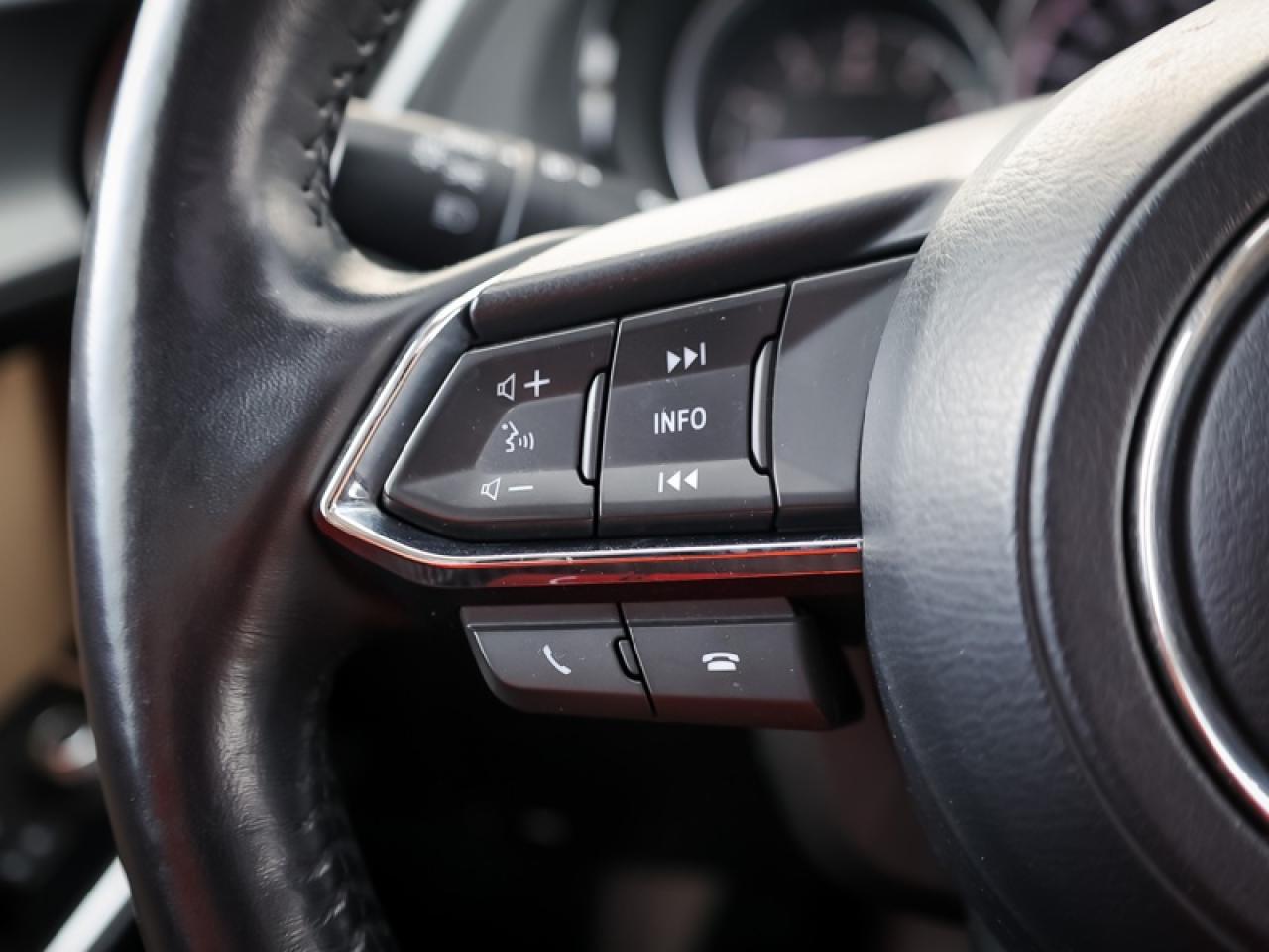 2019 Mazda CX-9 GS-L AWD  - $174 B/W Photo