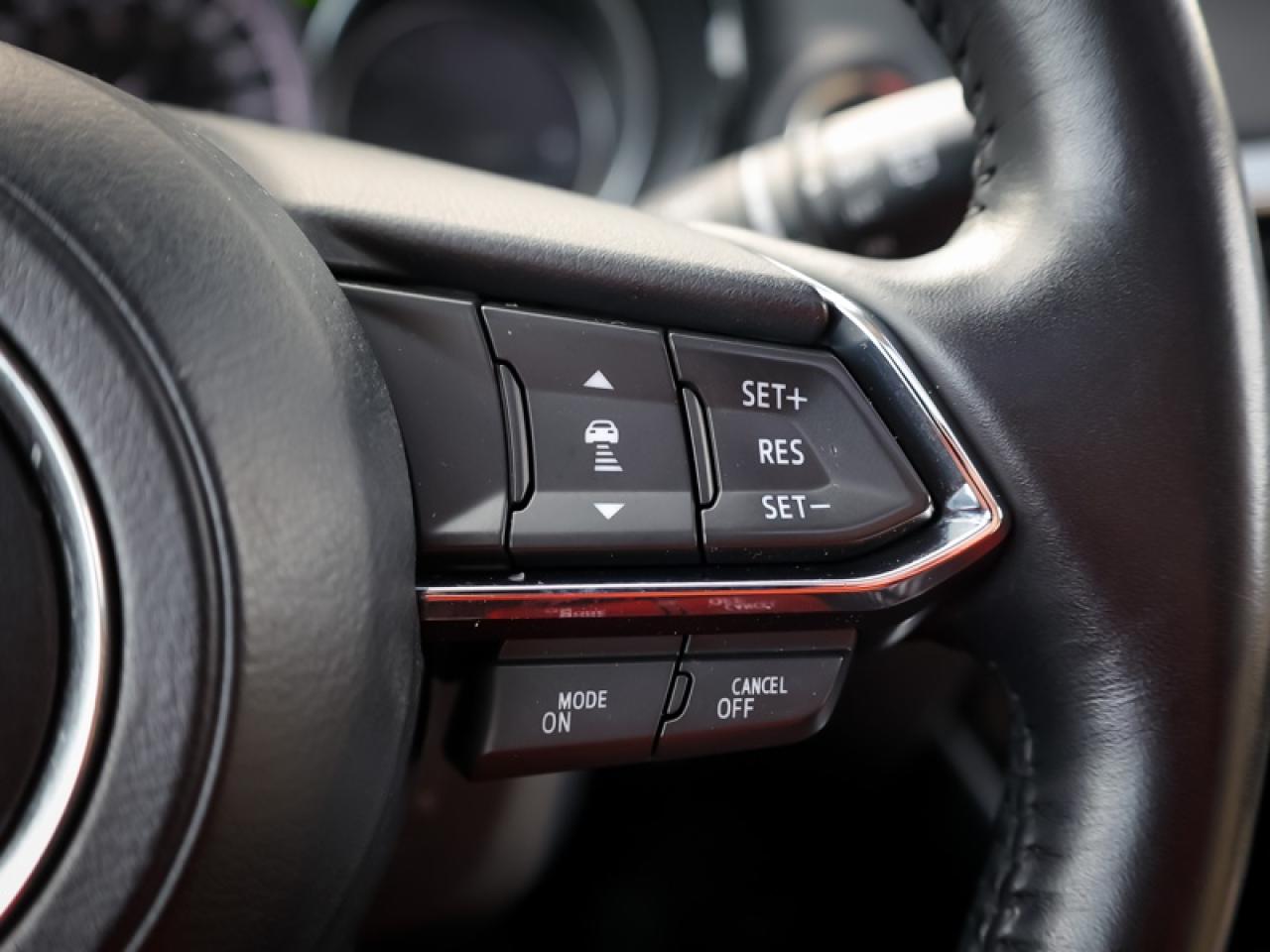 2019 Mazda CX-9 GS-L AWD  - $174 B/W Photo