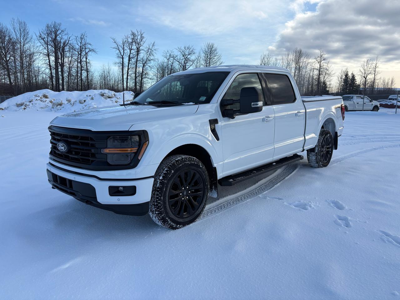 2025 Ford F-150 XLT Photo0