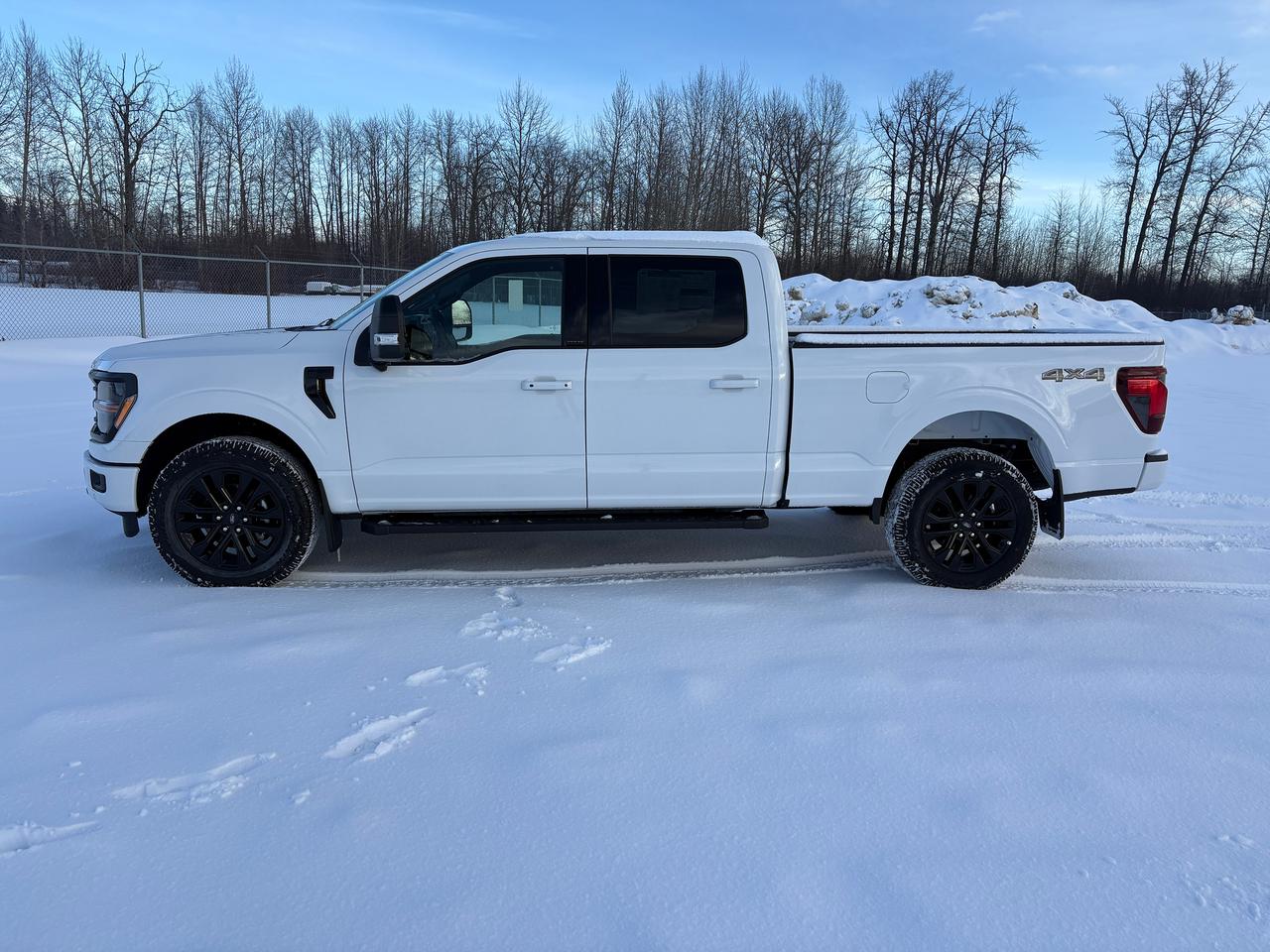 2025 Ford F-150 XLT Photo3