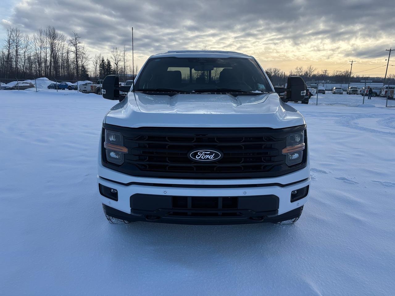 2025 Ford F-150 XLT Photo1
