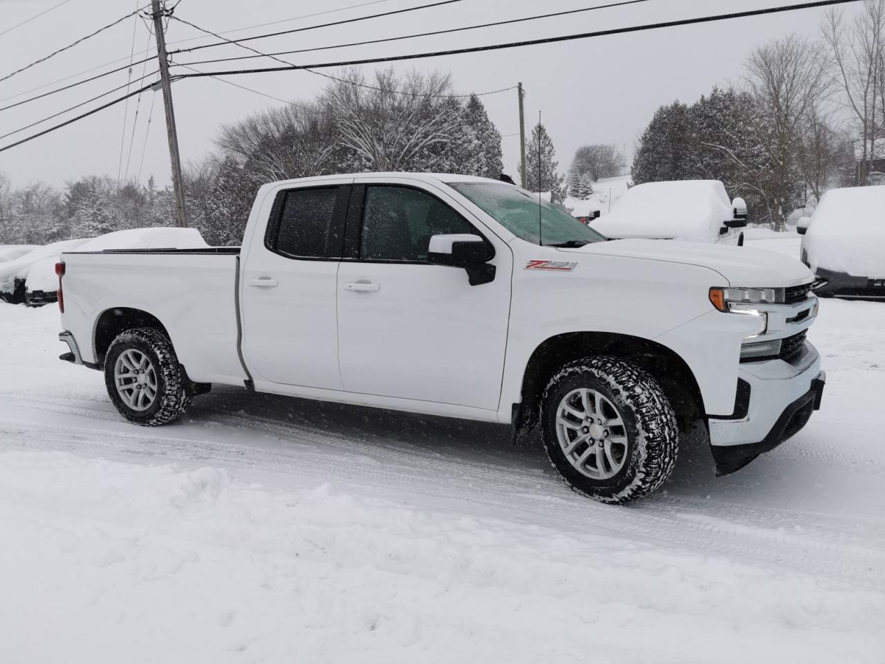 2021 Chevrolet Silverado 1500 LT Photo