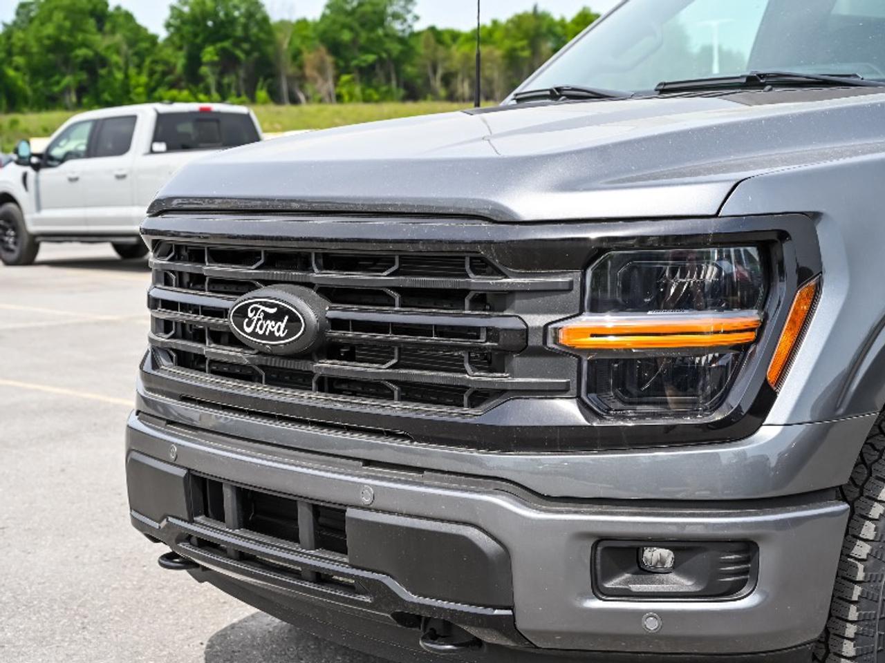 2026 Ford F-150 XLT Photo
