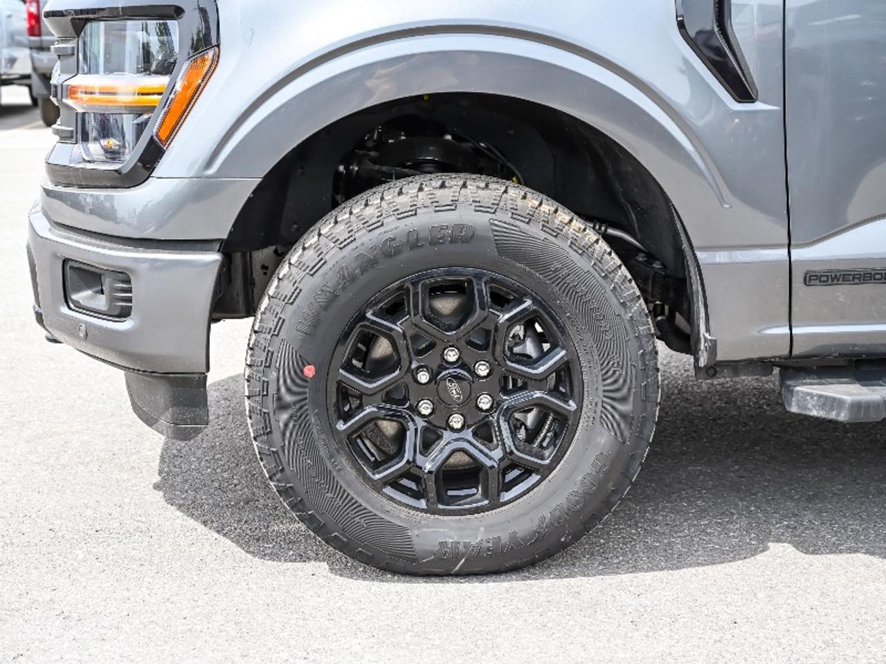 2026 Ford F-150 XLT Photo