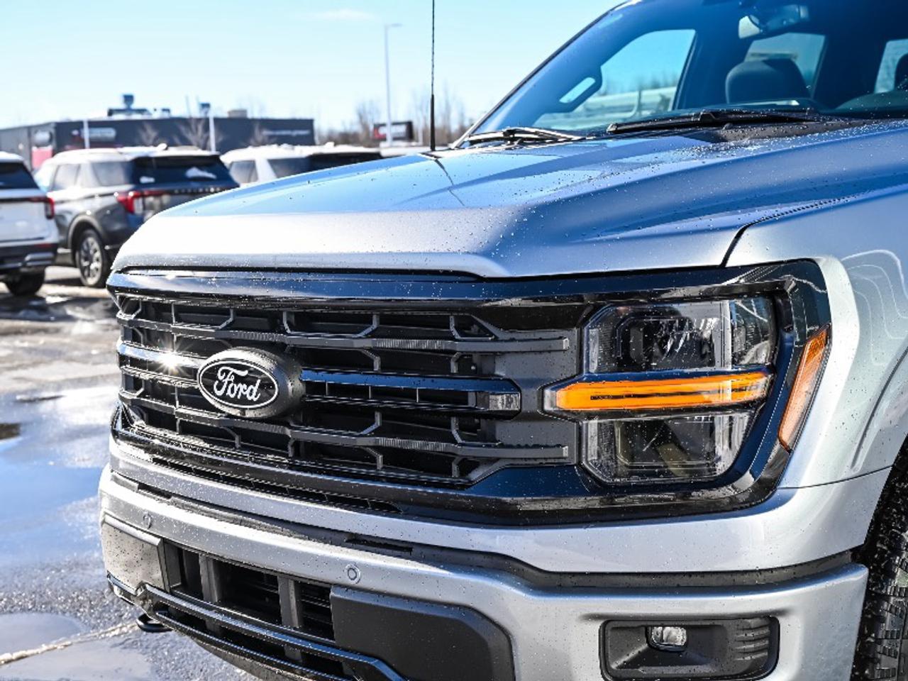 2026 Ford F-150 XLT Photo