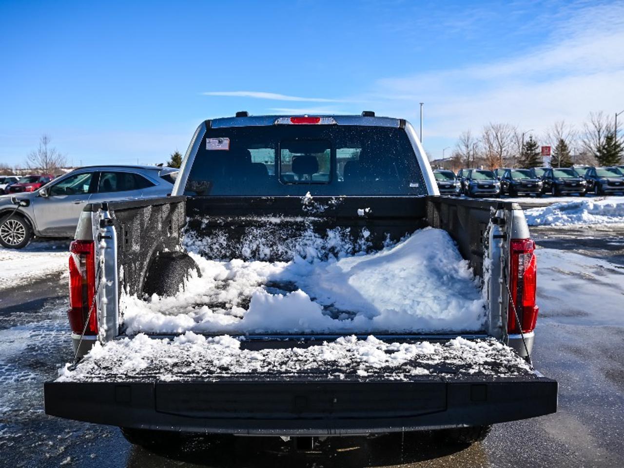 2026 Ford F-150 XLT Photo