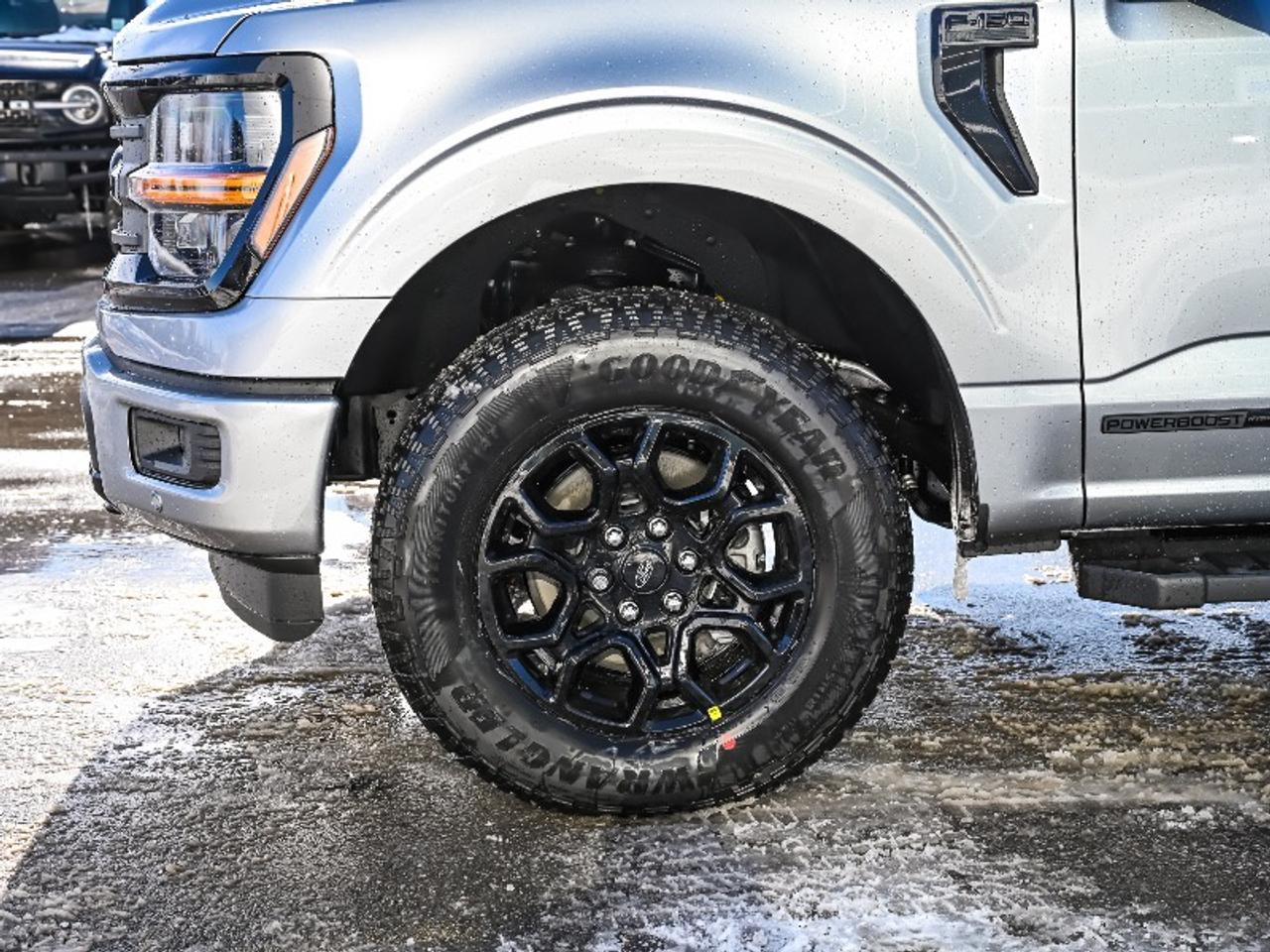 2026 Ford F-150 XLT Photo