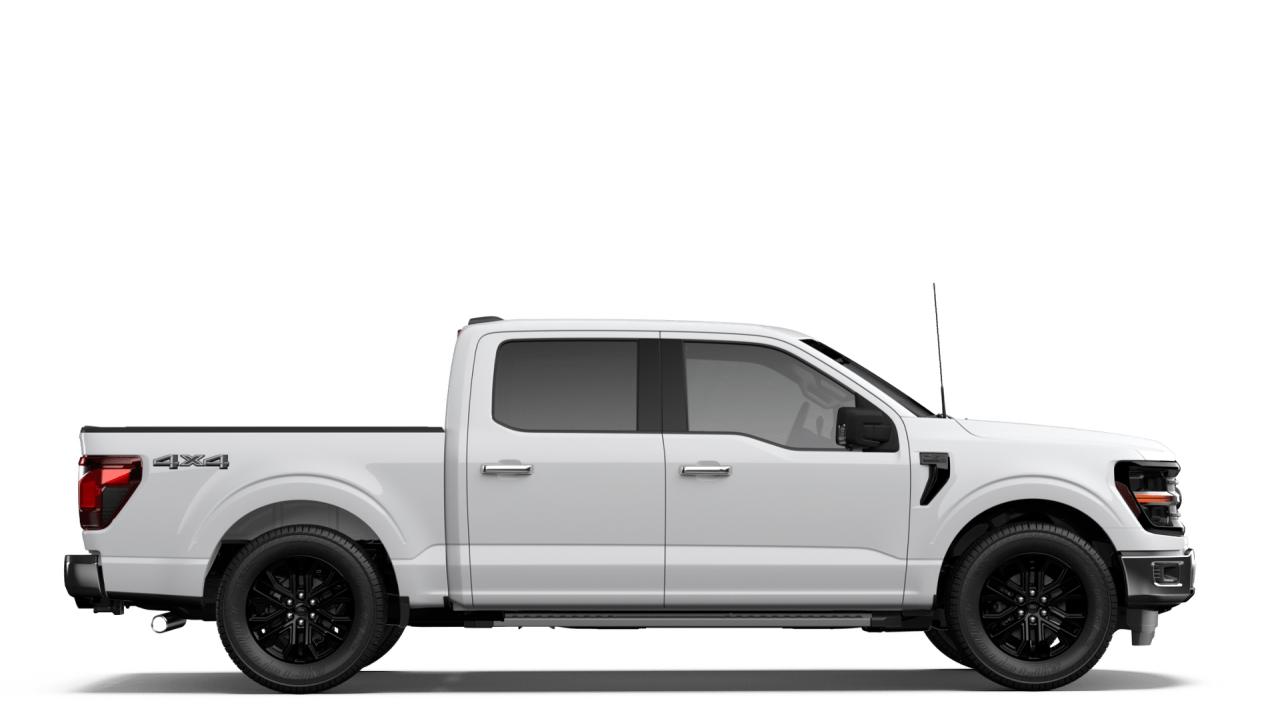 2026 Ford F-150 XLT Photo