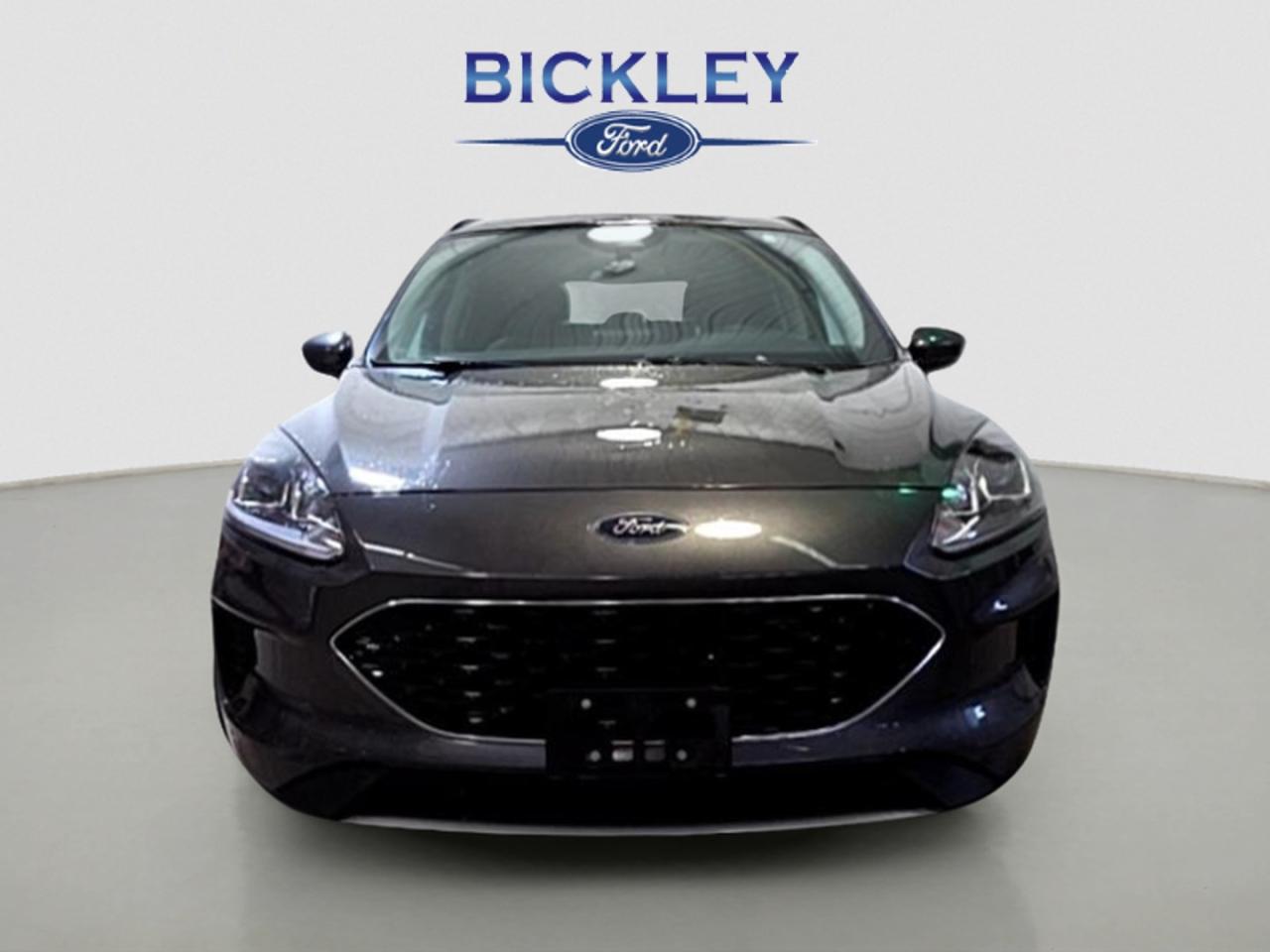 2020 Ford Escape SE Photo