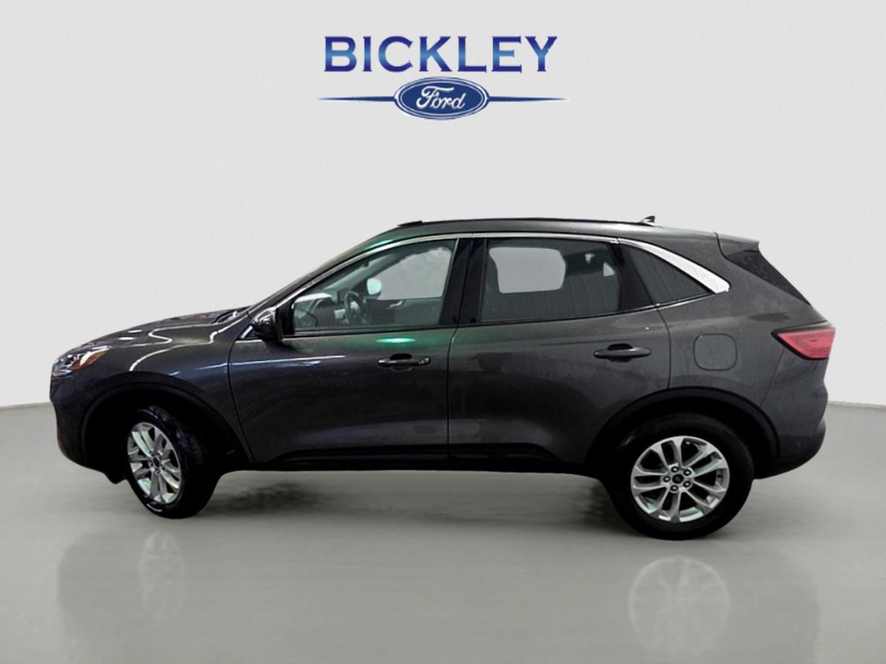 2020 Ford Escape SE Photo4