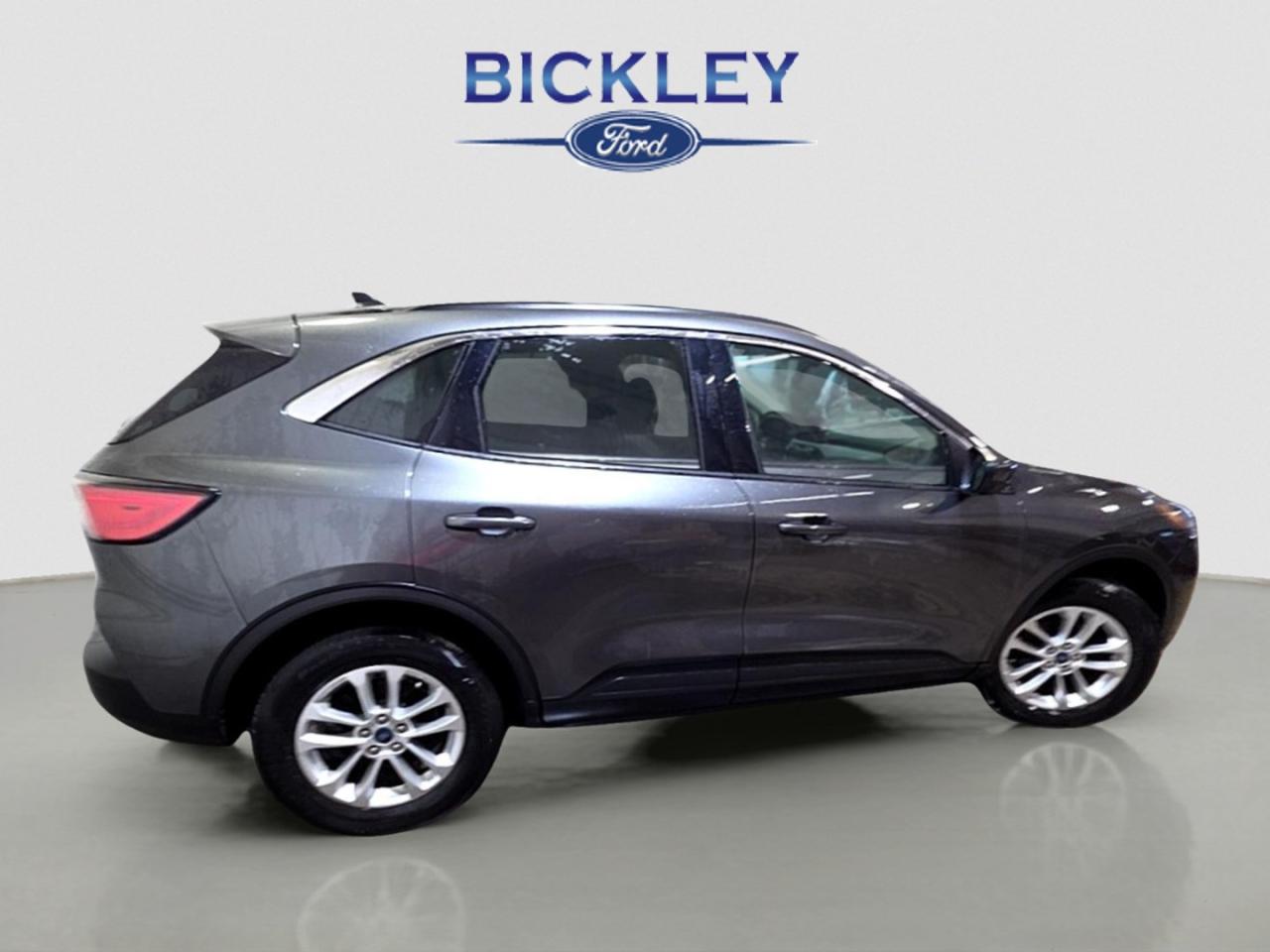 2020 Ford Escape SE Photo