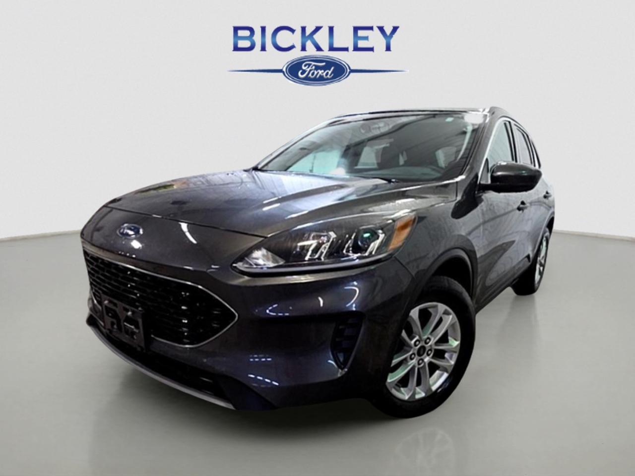 2020 Ford Escape SE Photo0