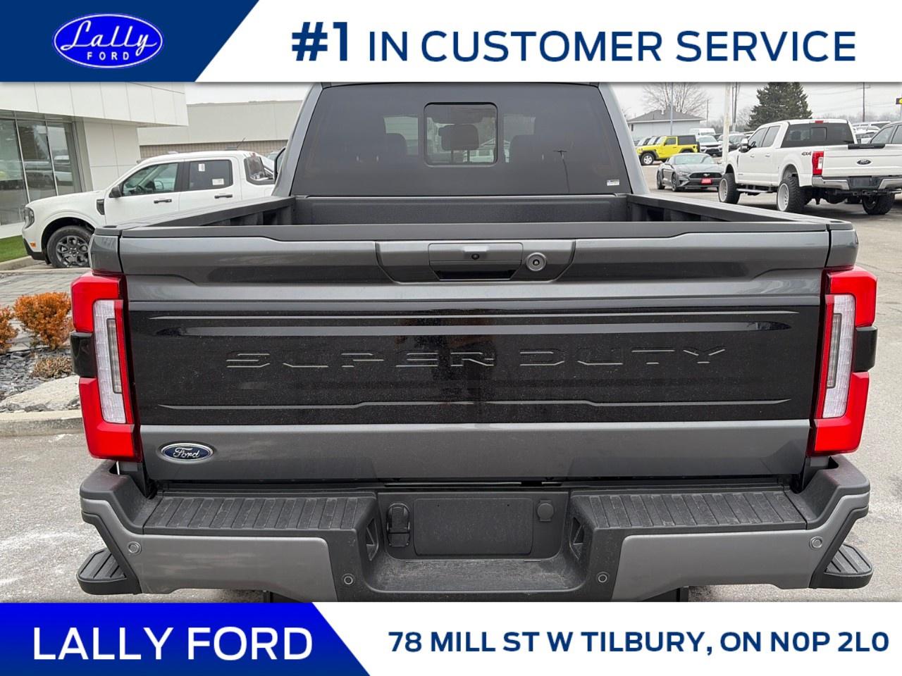 2026 Ford F-250 Super Duty SRW PLATINUM 4WD CREW CAB 6.75' BOX Photo