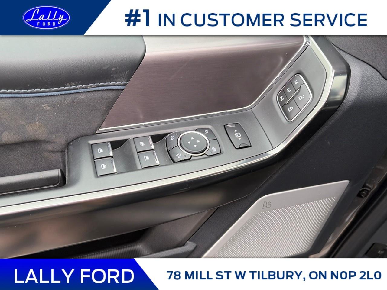 2026 Ford F-250 Super Duty SRW PLATINUM 4WD CREW CAB 6.75' BOX Photo