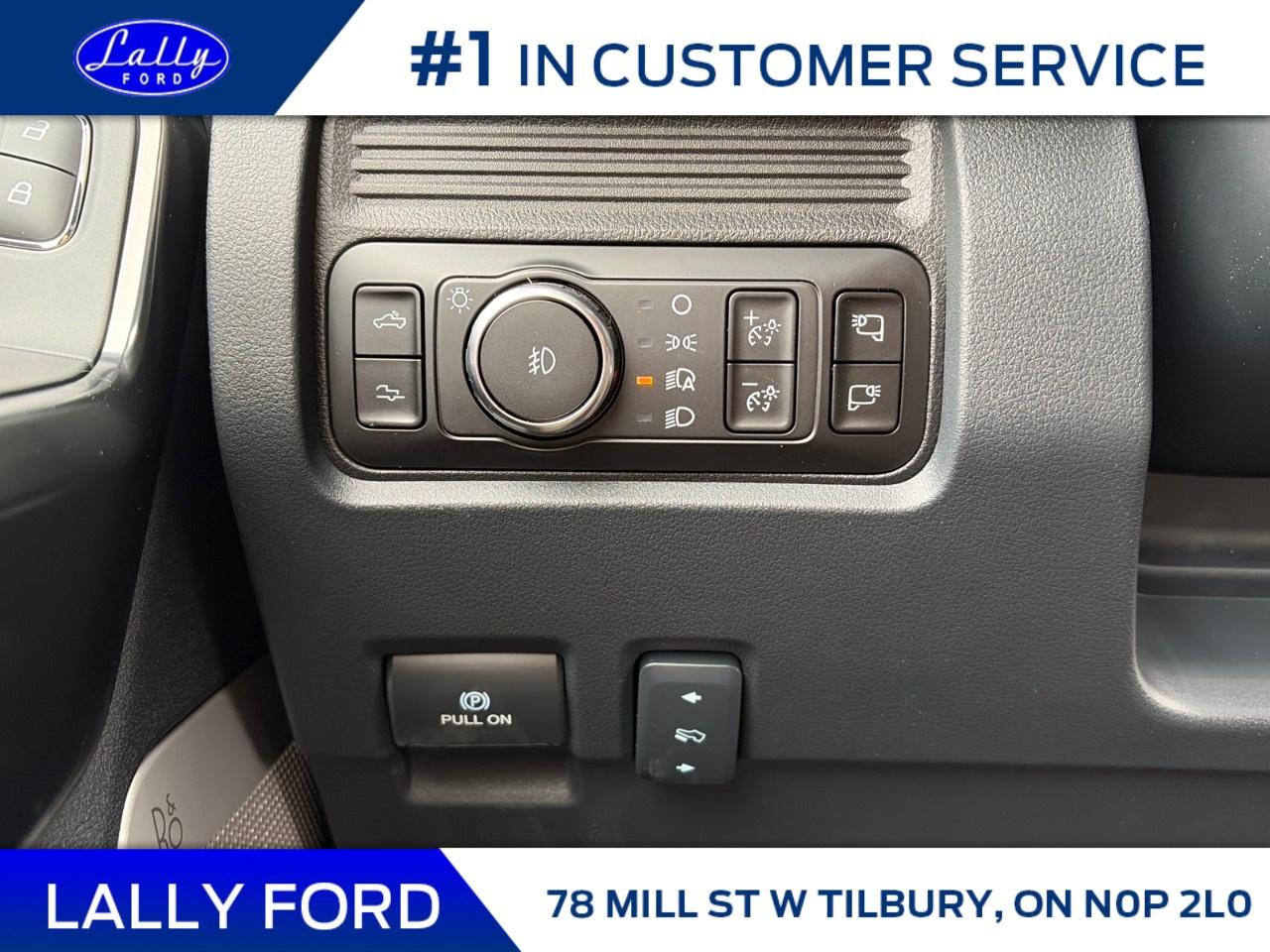 2026 Ford F-250 Super Duty SRW PLATINUM 4WD CREW CAB 6.75' BOX Photo