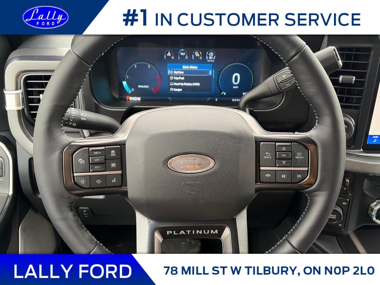 2026 Ford F-250 Super Duty SRW PLATINUM 4WD CREW CAB 6.75' BOX Photo