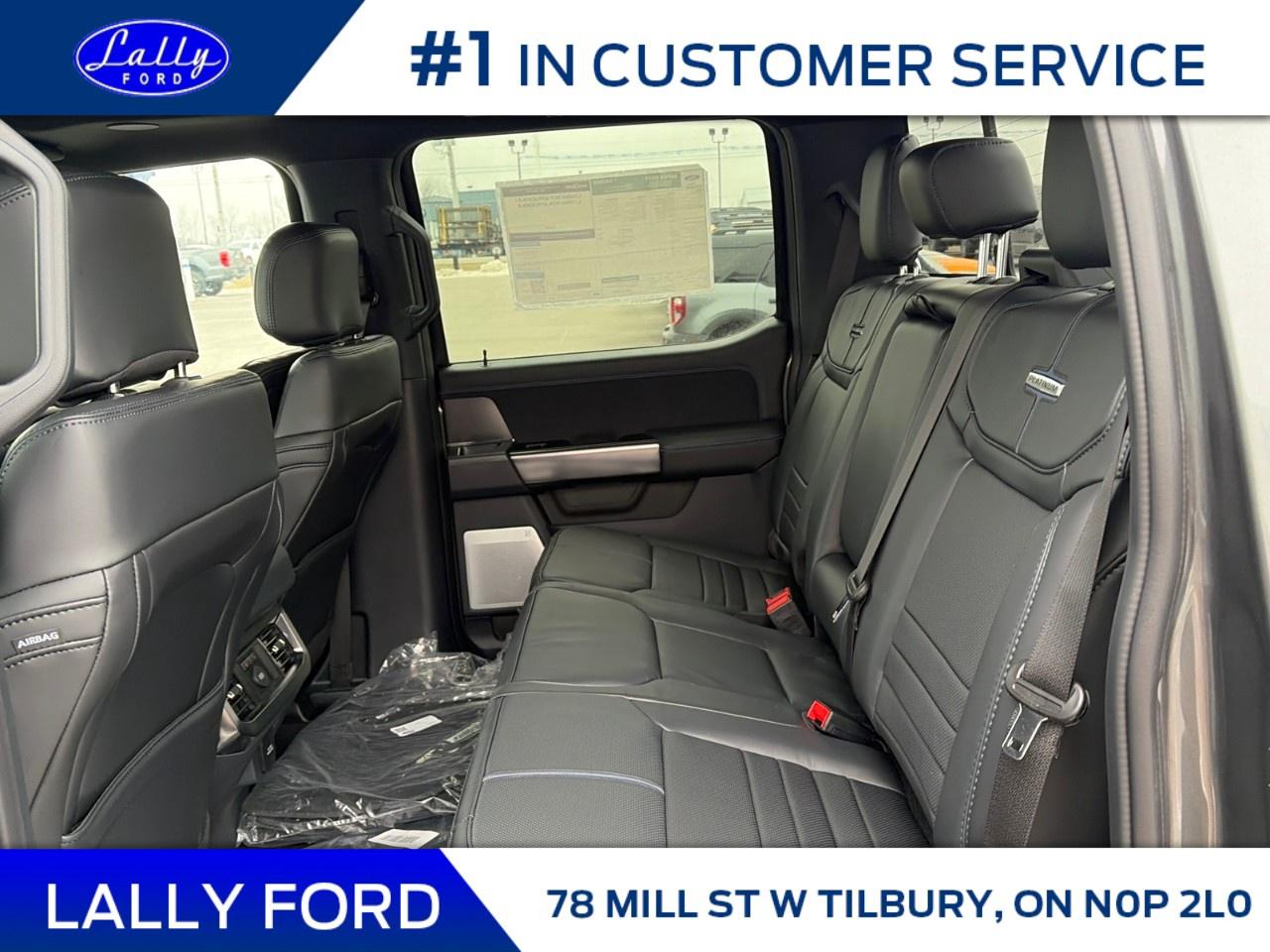 2026 Ford F-250 Super Duty SRW PLATINUM 4WD CREW CAB 6.75' BOX Photo