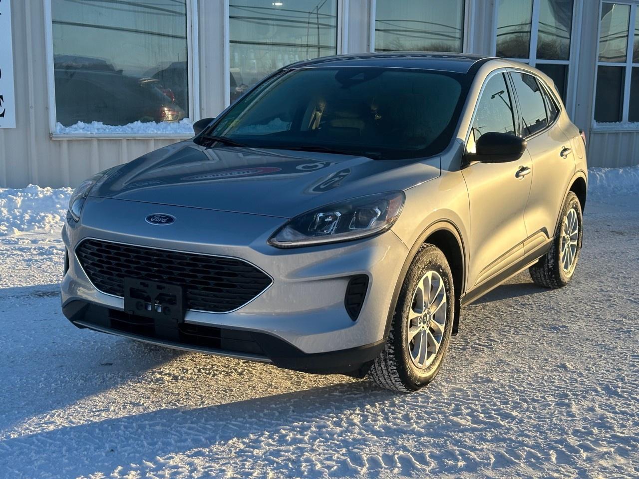 2022 Ford Escape SE AWD Photo