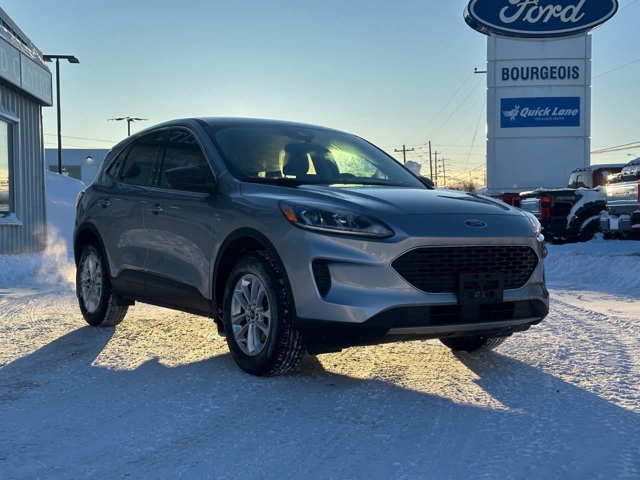 2022 Ford Escape SE AWD Photo