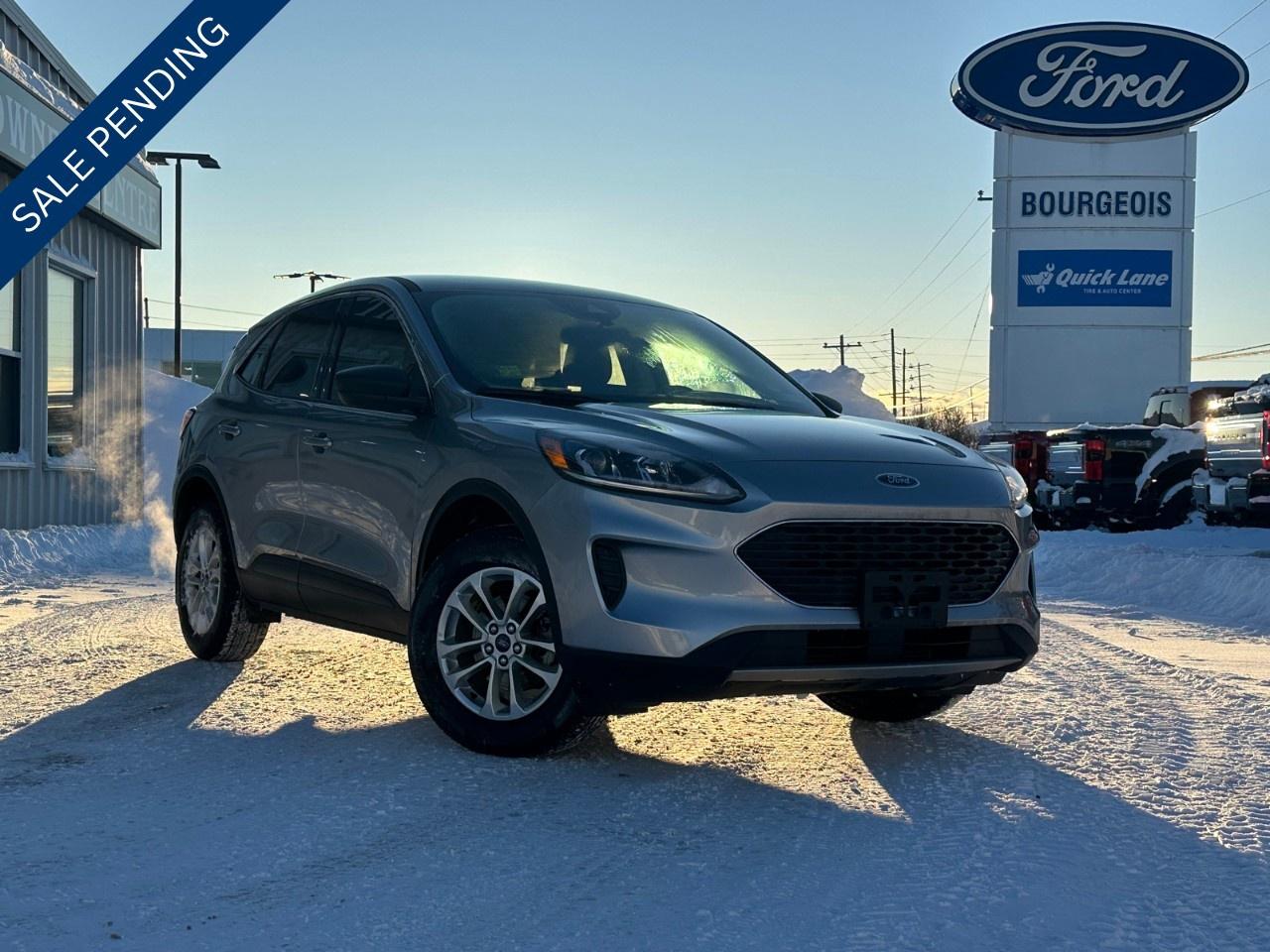 2022 Ford Escape SE AWD Photo