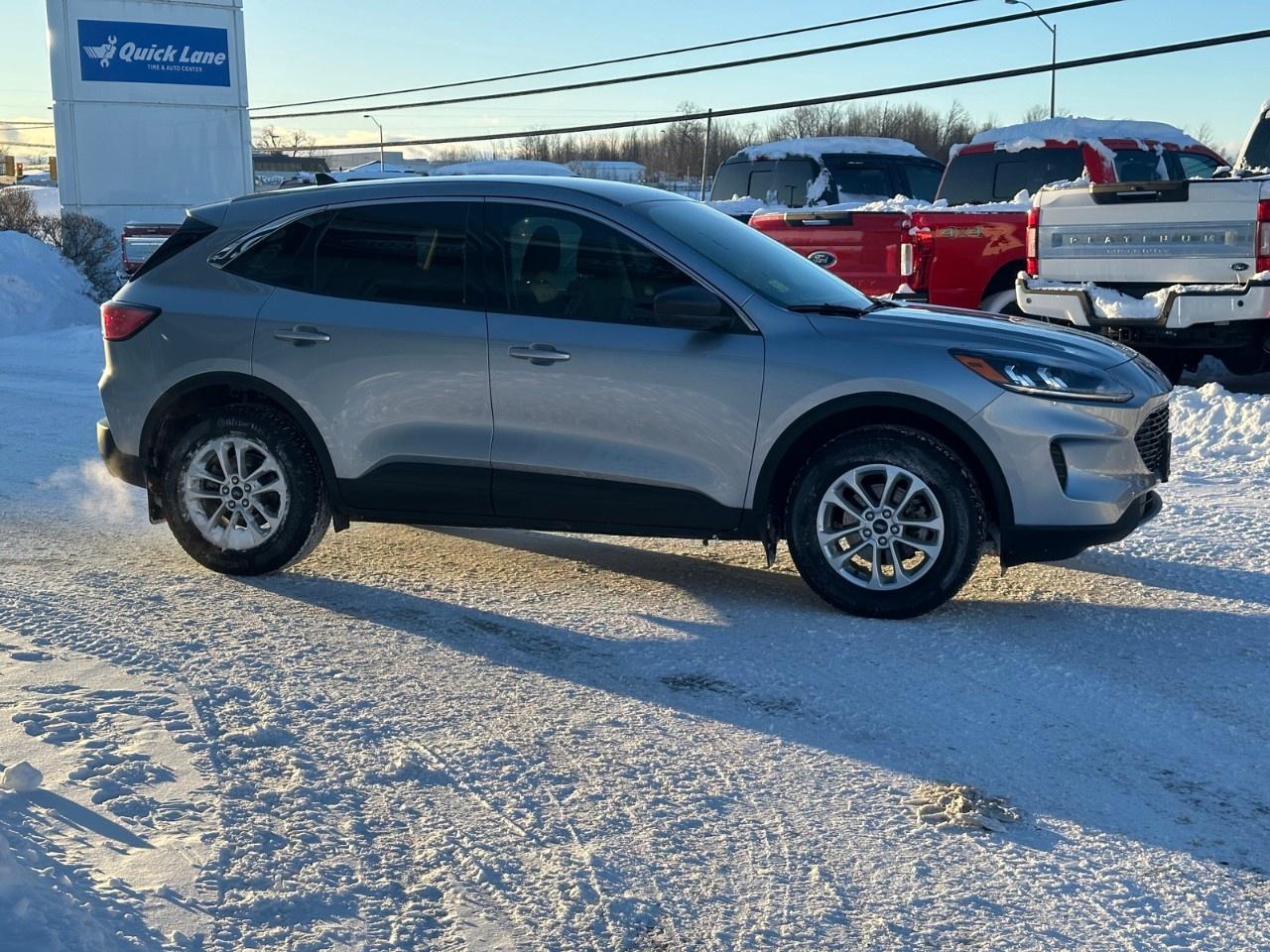 2022 Ford Escape SE AWD Photo4