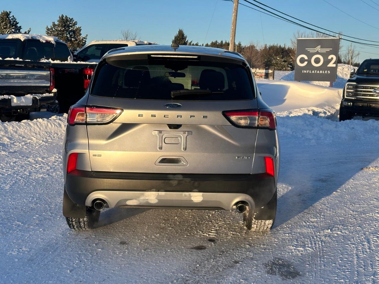 2022 Ford Escape SE AWD Photo