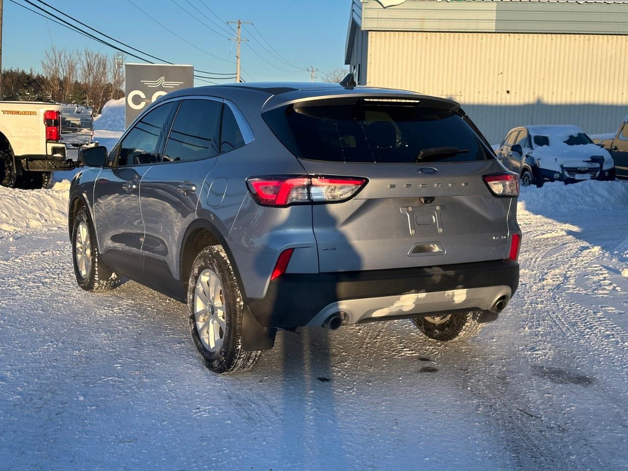 2022 Ford Escape SE AWD Photo