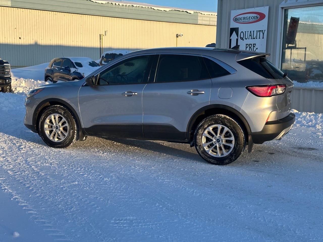 2022 Ford Escape SE AWD Photo