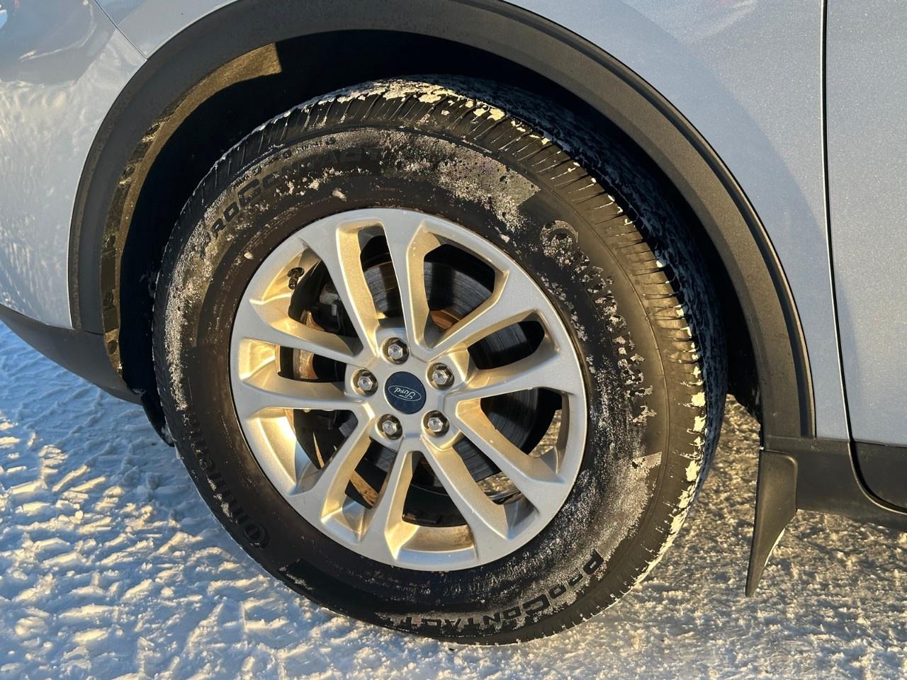 2022 Ford Escape SE AWD Photo