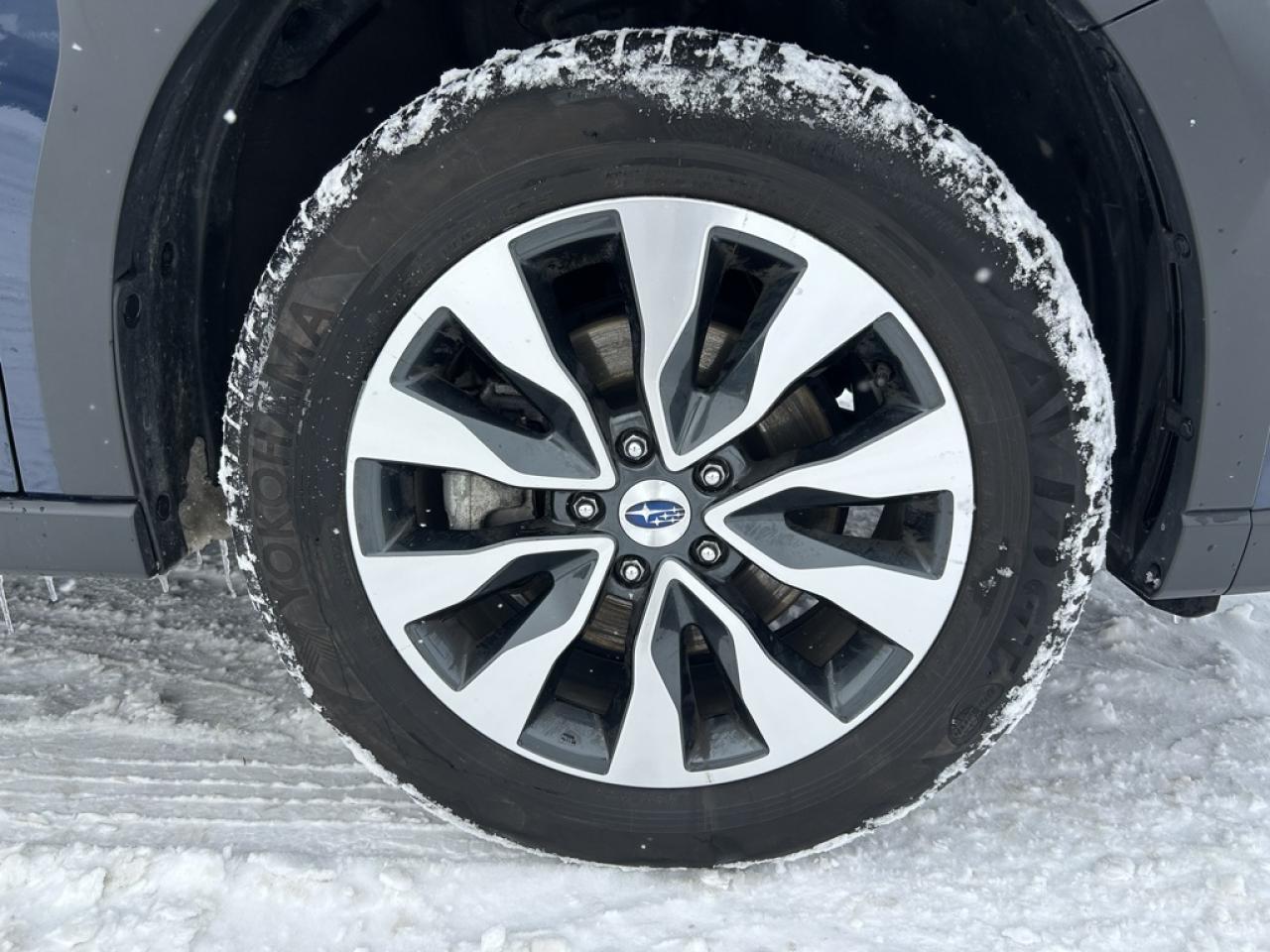 2024 Subaru Outback Premier XT  - Cooled Seats Photo