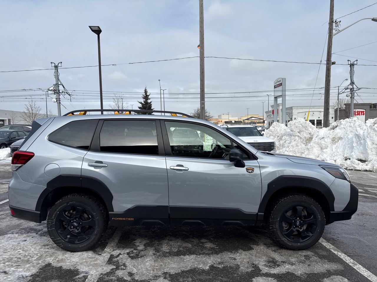 2023 Subaru Forester WILDERNESS Photo