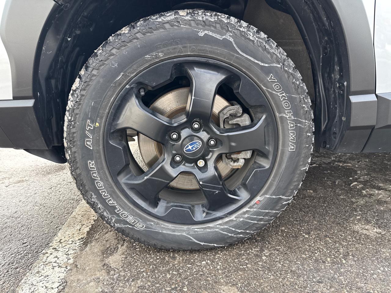 2023 Subaru Forester WILDERNESS Photo