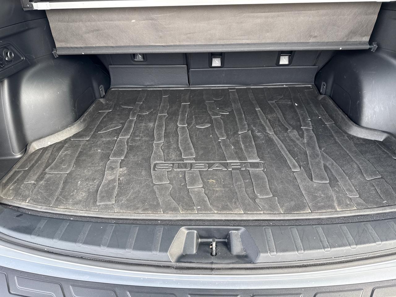 2023 Subaru Forester WILDERNESS Photo