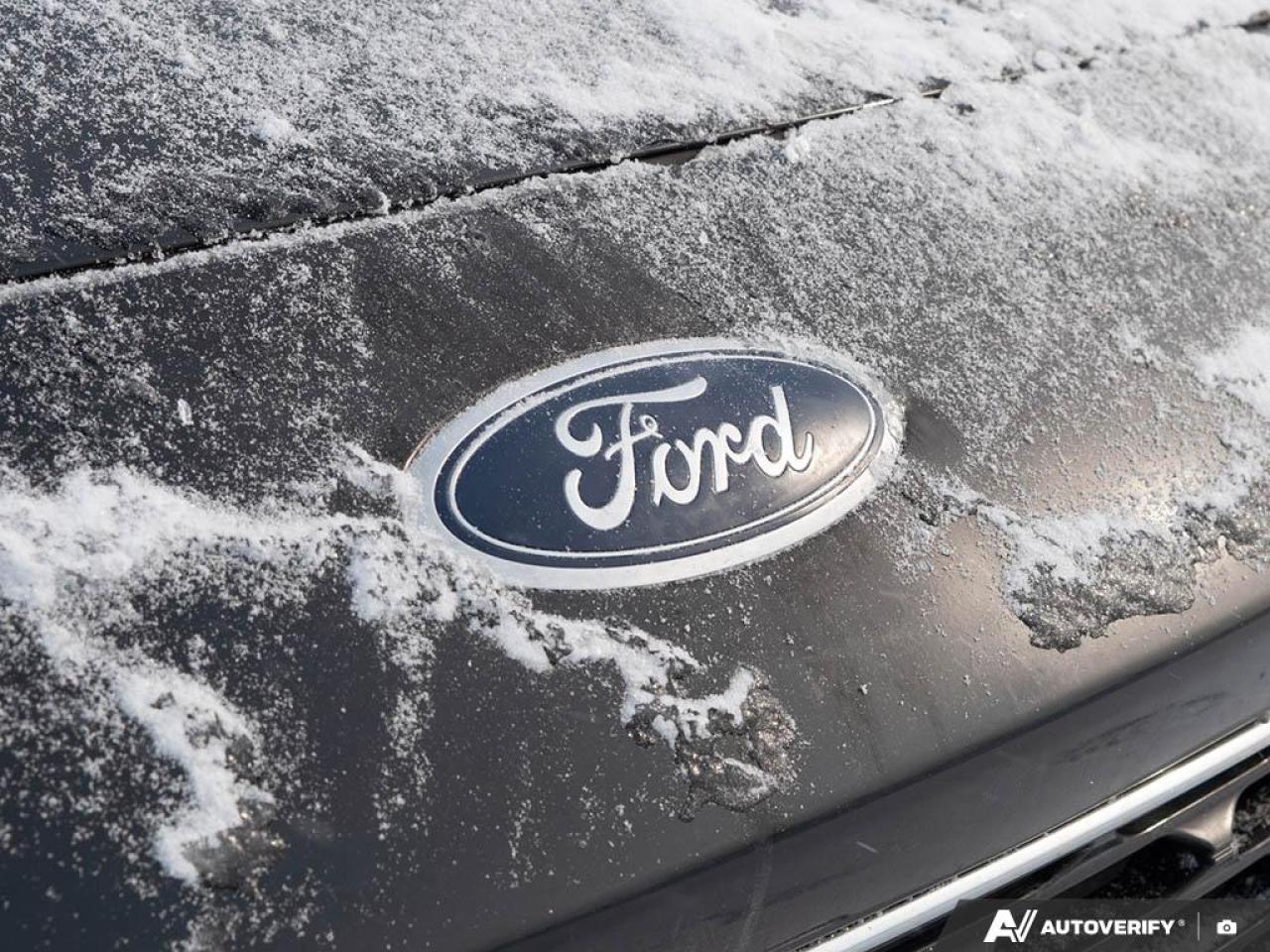 2022 Ford Escape SE Hybrid Cold Weather Package Photo