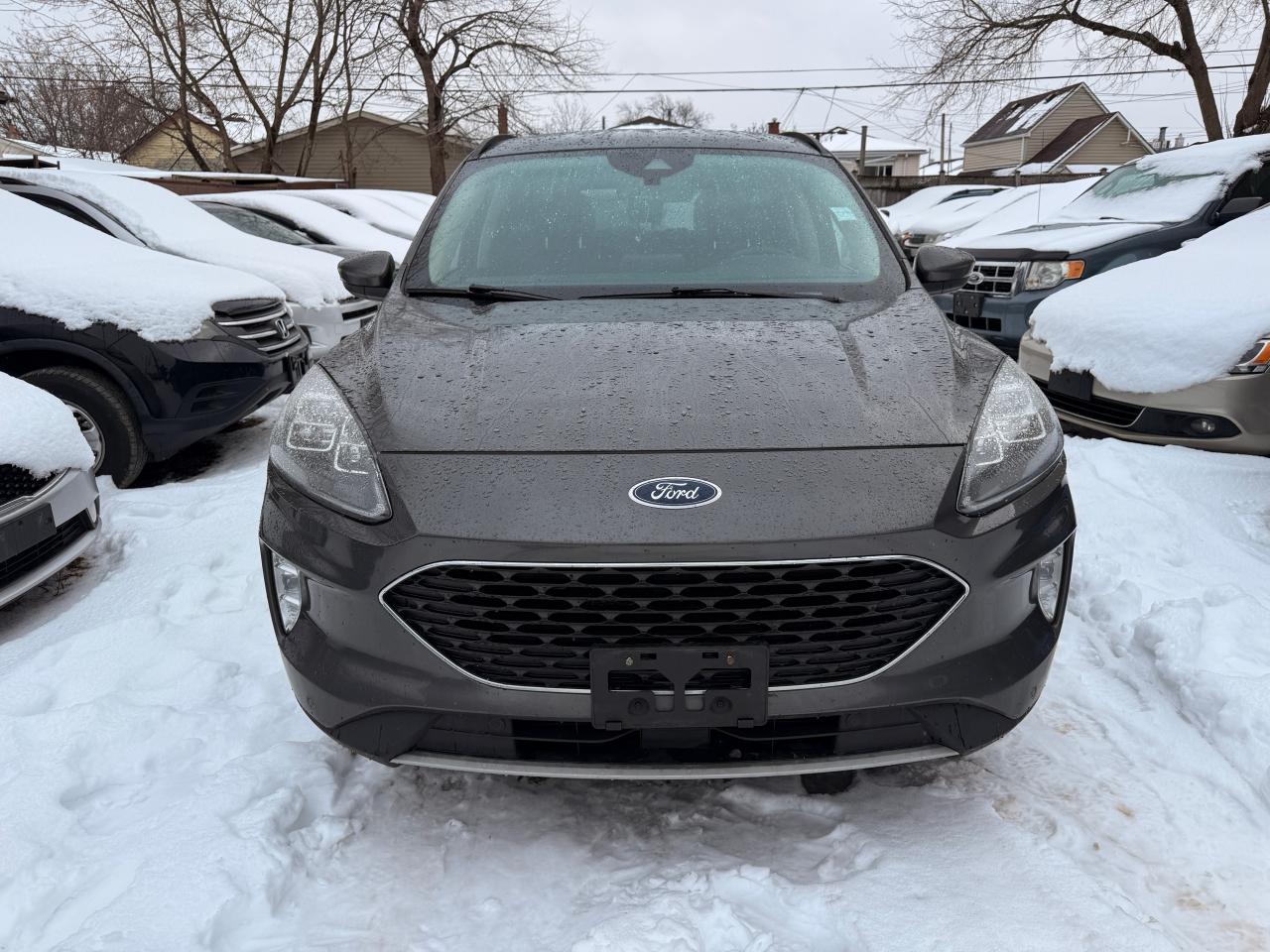 Used 2020 Ford Escape Titanium Hybrid AWD for sale in Hamilton, ON