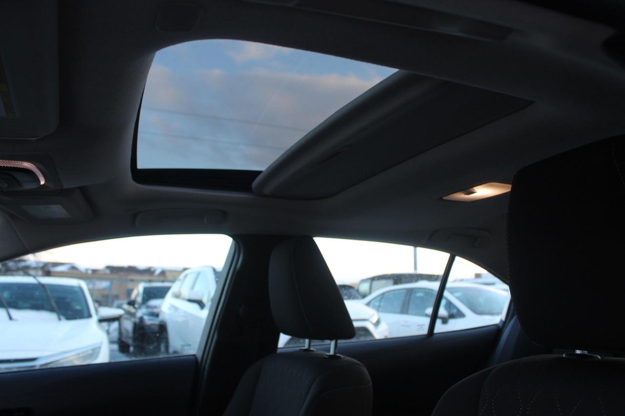 2024 Toyota Corolla LE Plus Photo