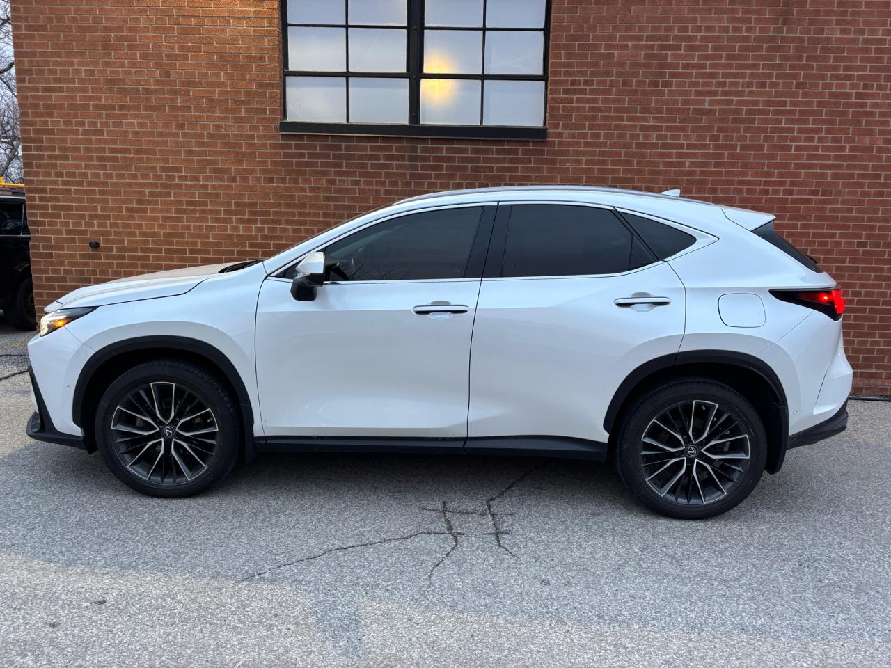 2022 Lexus NX NX 350H Executive AWD Photo2