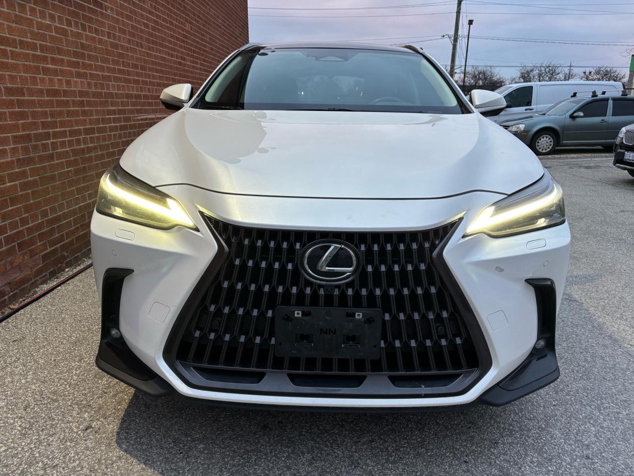 2022 Lexus NX NX 350H Executive AWD Photo