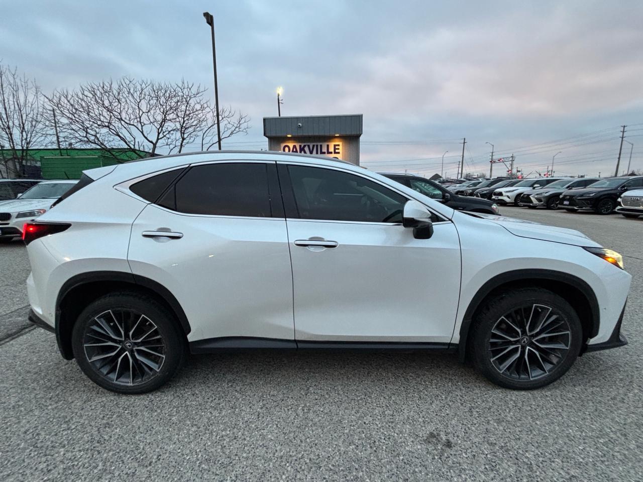2022 Lexus NX NX 350H Executive AWD Photo