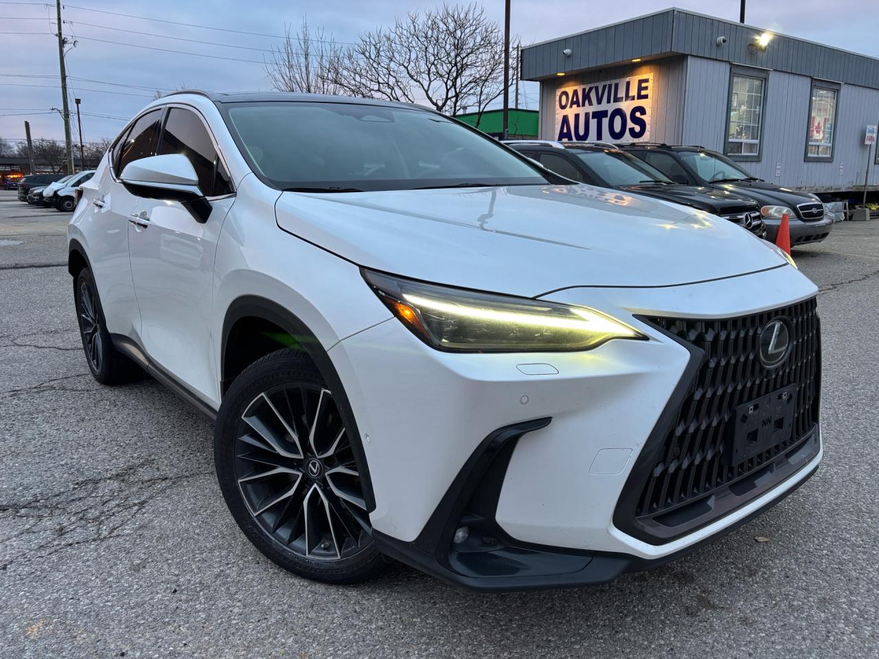 2022 Lexus NX NX 350H Executive AWD Photo