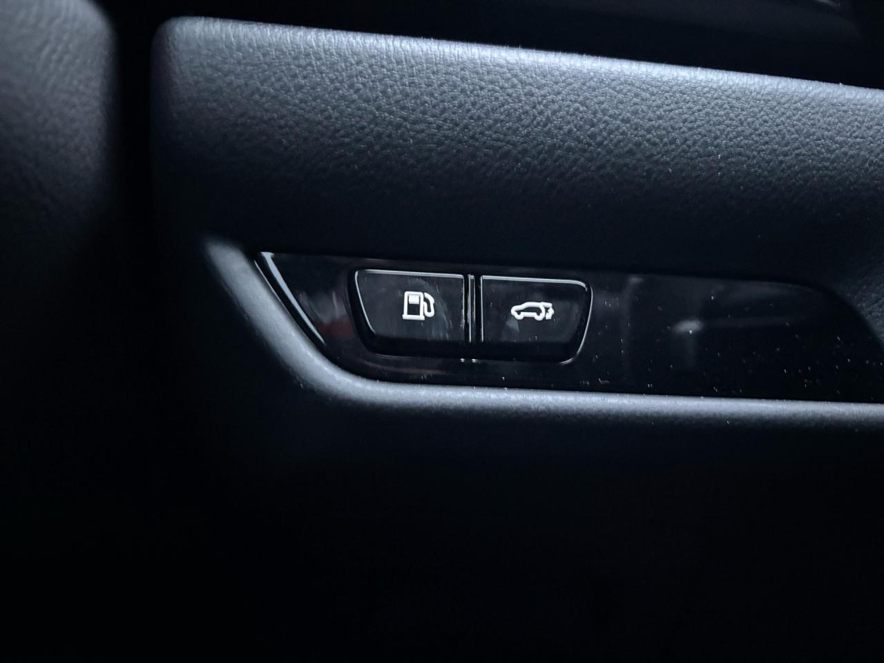 2022 Lexus NX NX 350H Executive AWD Photo