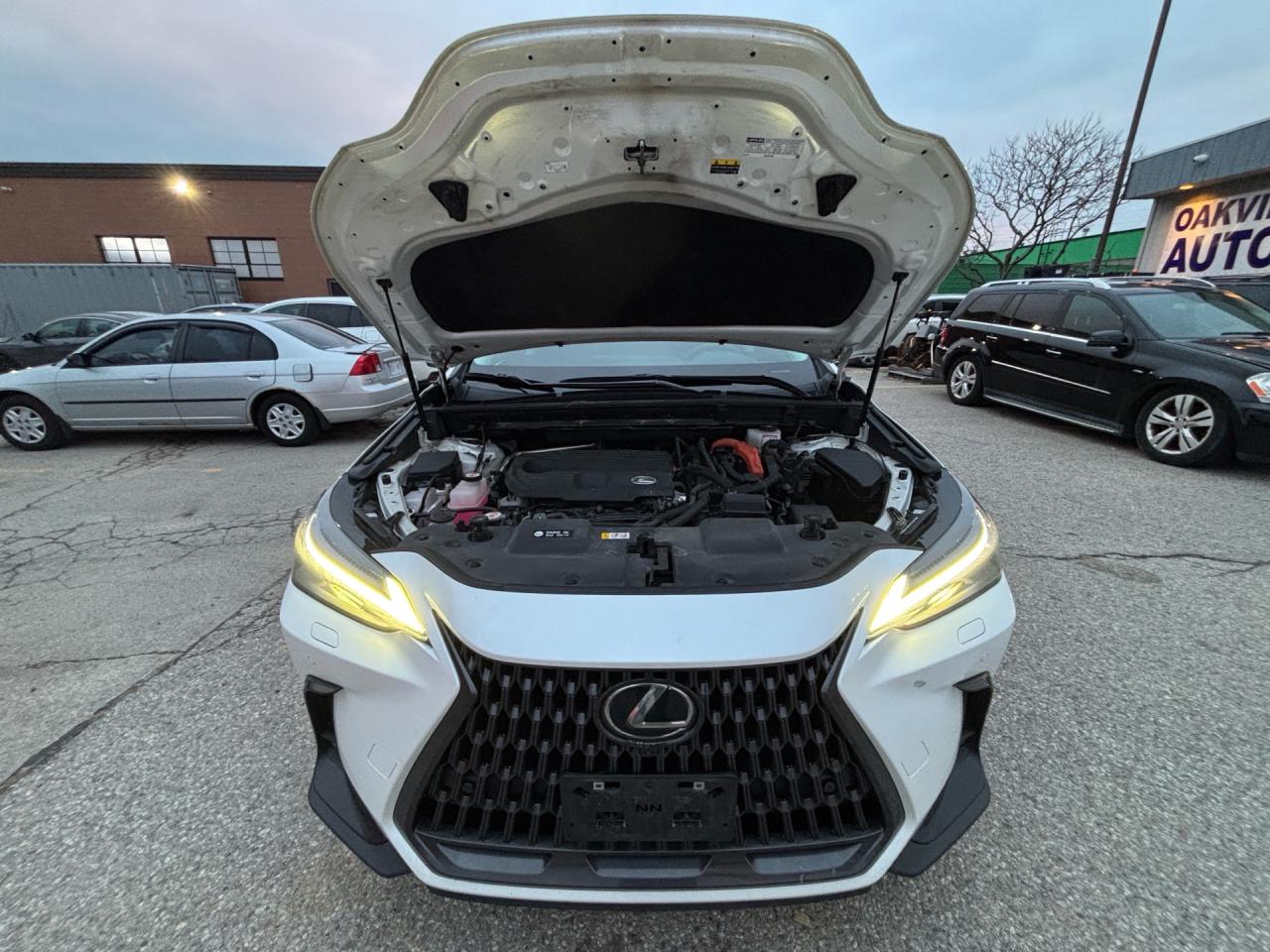 2022 Lexus NX NX 350H Executive AWD Photo