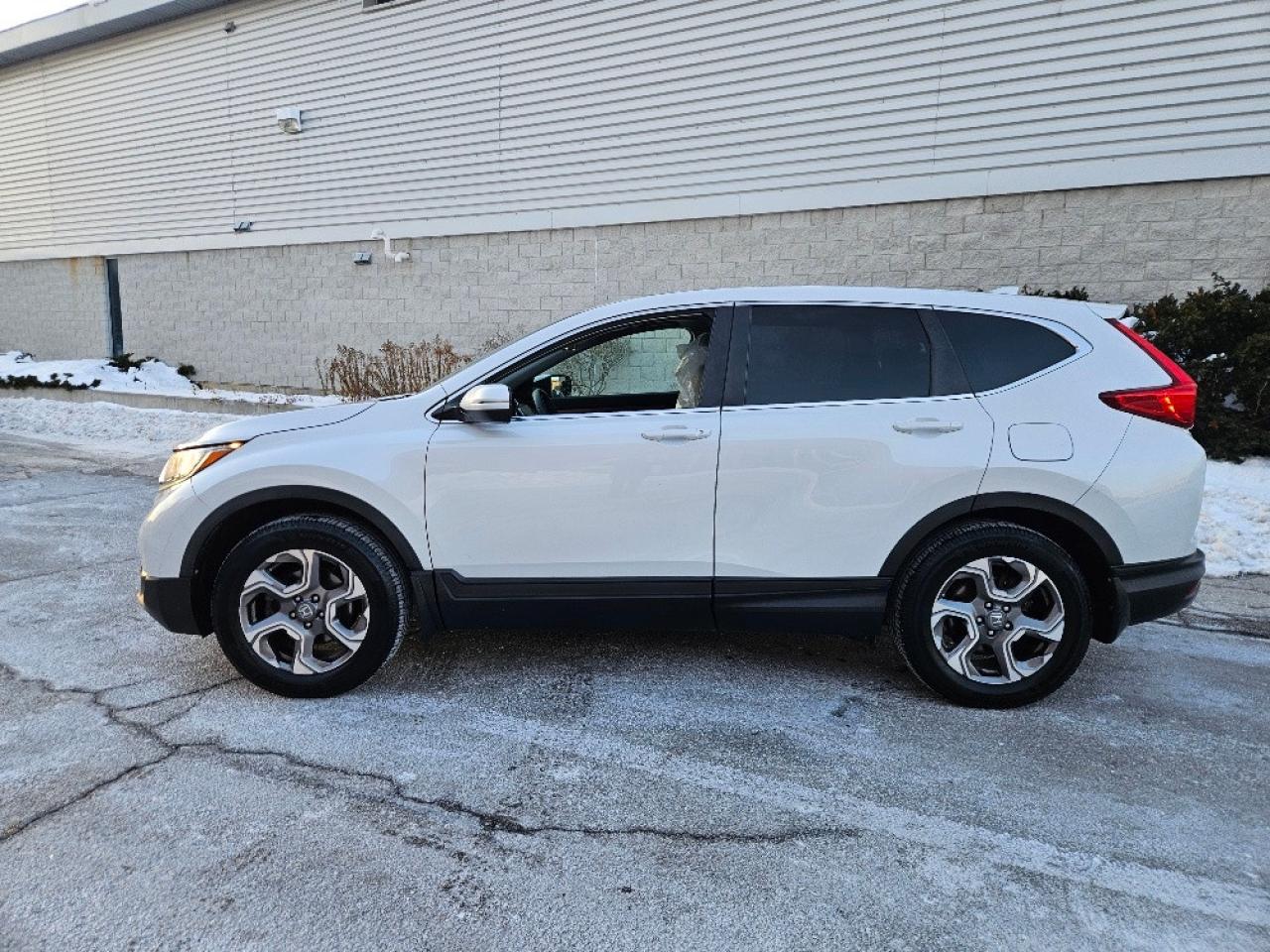 2019 Honda CR-V EX AWD-SUNROOF-CERTIFIED Photo