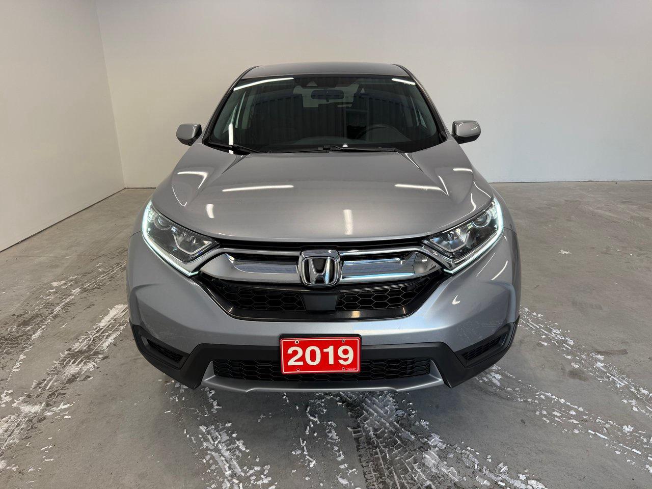 2019 Honda CR-V LX Photo