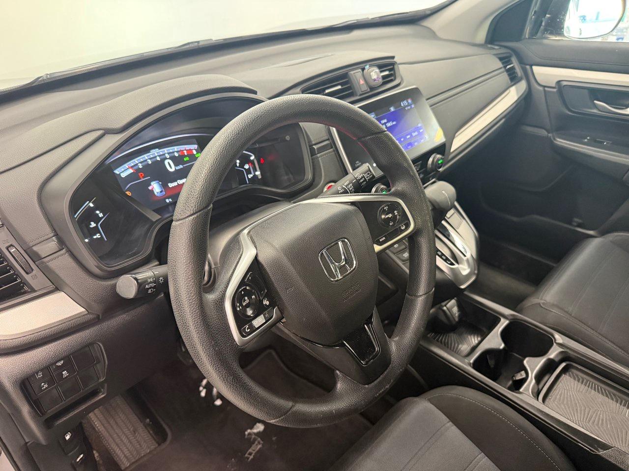 2019 Honda CR-V LX Photo